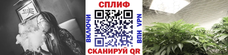 Магазин наркотиков Змеиногорск АМФ  Alpha PVP  Меф мяу мяу  Cocaine 