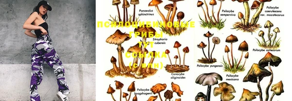 марки nbome Верея