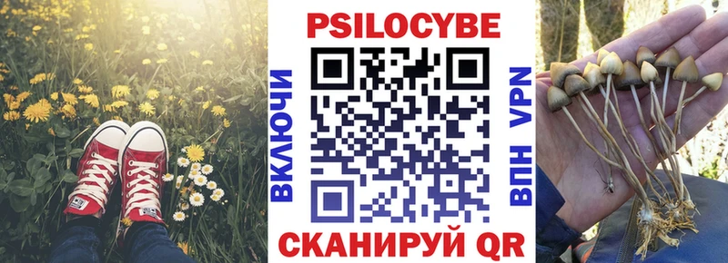 ОМГ ОМГ ссылки Змеиногорск Галлюциногенные грибы мицелий